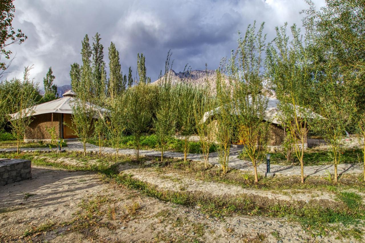 Chalet Seabuckthorn - Hunder Hundar 외부 사진